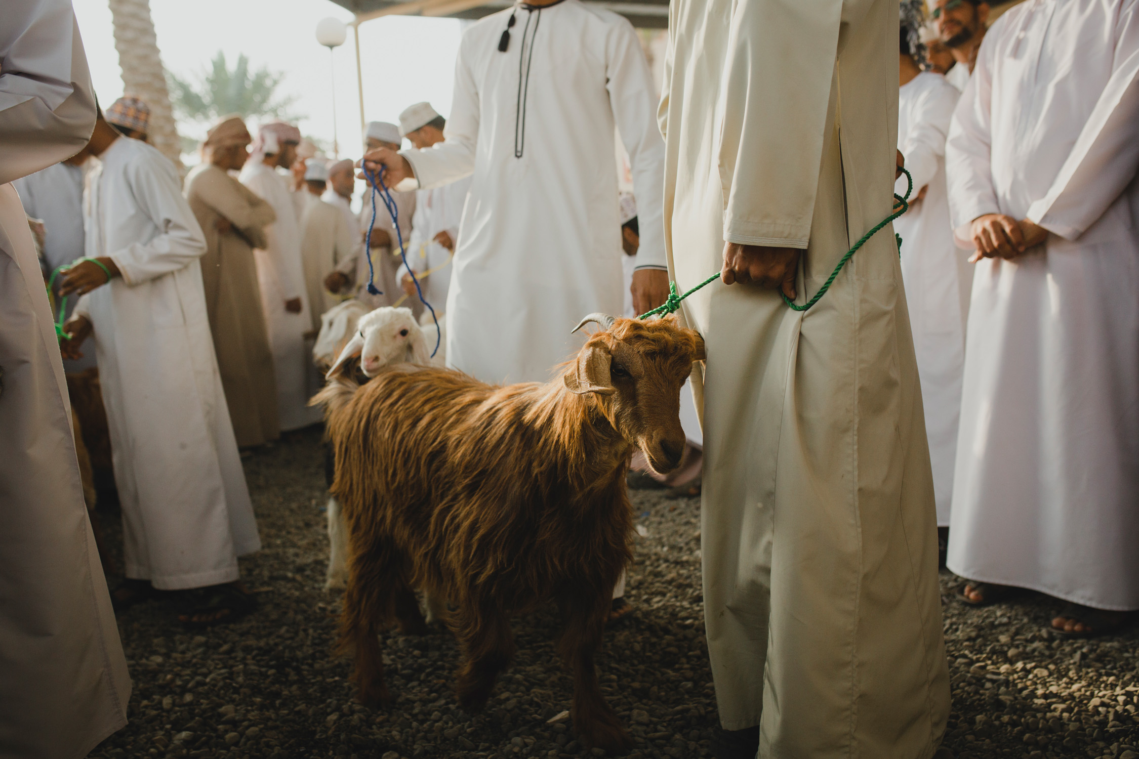 Kozi targ Nizwa Oman