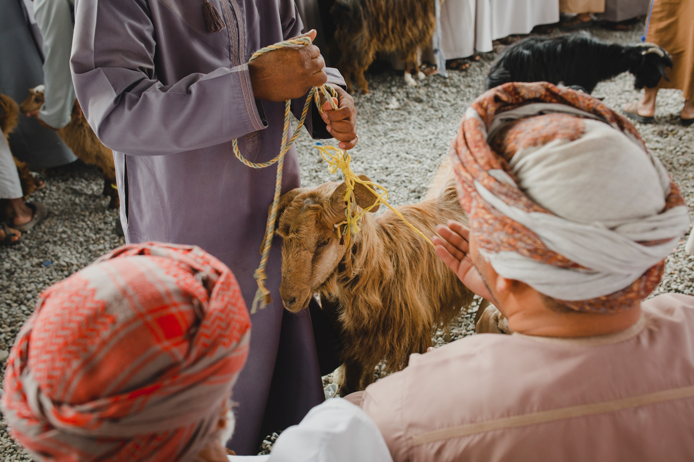 Kozi targ Nizwa Oman